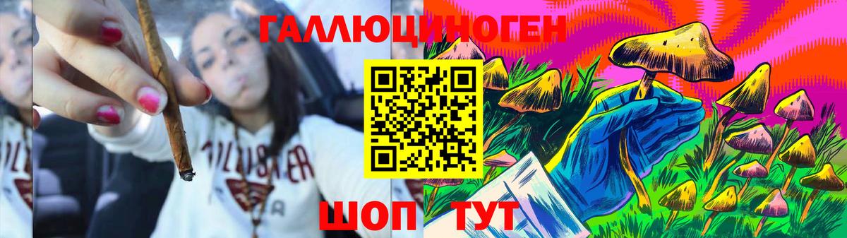 Псилоцибиновые грибы Psilocybe  Вход с VPN  Кудымкар 